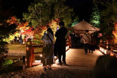 11/7　白水阿弥陀堂・恒例のライトアップ