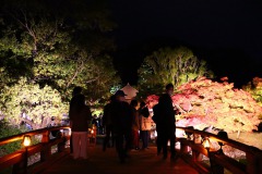 11/7　白水阿弥陀堂・恒例のライトアップ