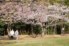 4/9　大畑公園