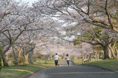 4/9　大剣公園