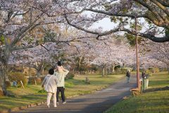 4/9　大剣公園