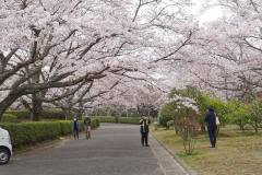3/30　小名浜、大畑公園