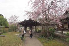 3/30　勿来の関公園・吹風殿