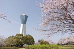 3/31　小名浜、三崎公園