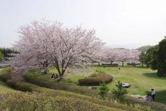 3/31　小名浜、三崎公園