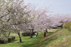 3/31　小名浜、三崎公園