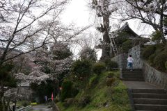 遠野・円福寺・4/7