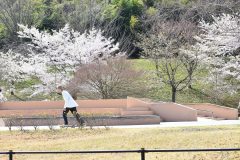 3/29　21世紀の森公園