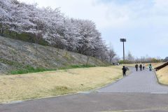 3/29　21世紀の森公園