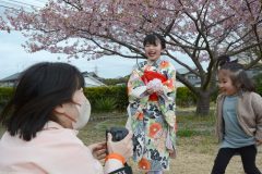 3/17　常磐共同火力・河津桜