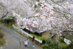 3/27　遠野町円福寺