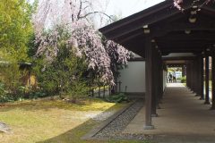 3/31　勿来の関公園