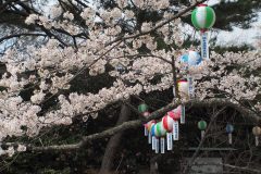 3/31　勿来の関公園