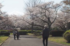 3/31　小名浜臨海工業団地大畑緑地（大畑公園）