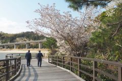 3/31　いわきサンマリーナ